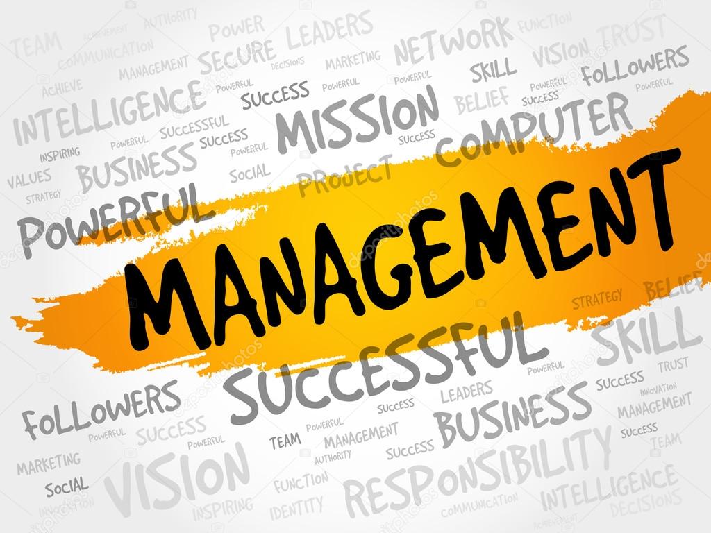 MANAGEMENT word cloud