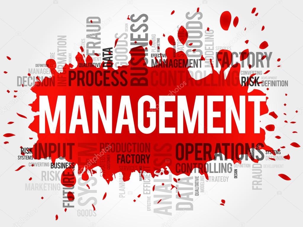 MANAGEMENT word cloud