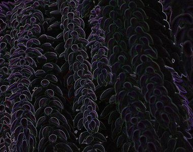 Karanlık bir arka planda ışık çizgileri, birbiri ardına yürüyen insanlara benzer.