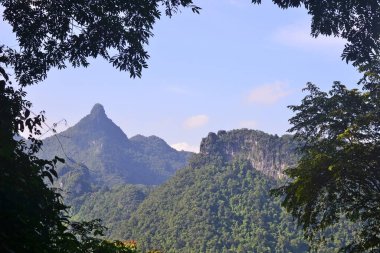 Güneş tarafından aydınlatılan dağ manzarası, ağaç dalları tarafından çerçevelenmiş.