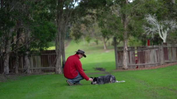 Un hombre entrena a un cachorro de tacón azul. — Vídeos de Stock