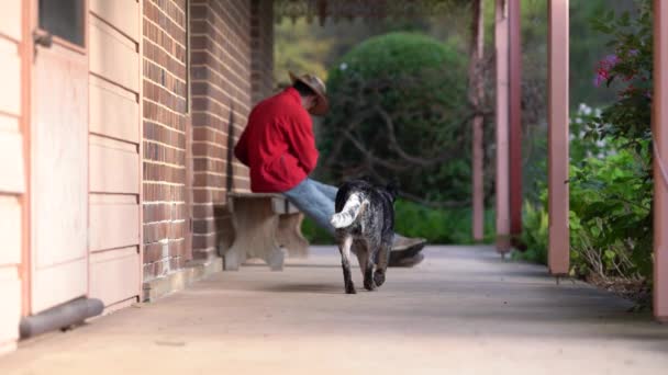 Un hombre y un perrito de tacón azul están sentados en un porche. — Vídeos de Stock