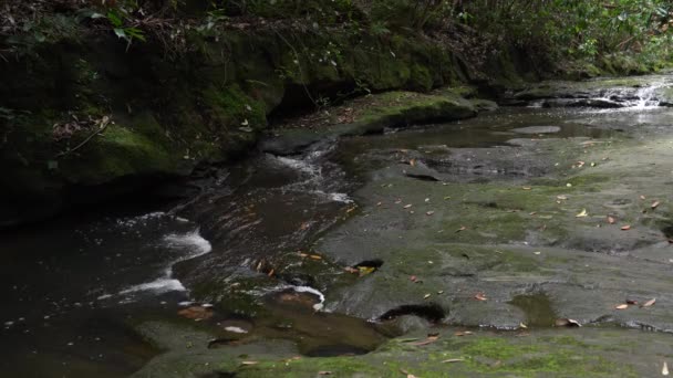 El agua del arroyo corre rápido sobre amplias rocas cubiertas de musgo en una selva oscura. — Vídeo de stock