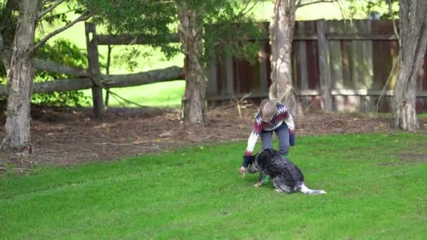 A boy is trainin a blue heeler puppy. — Stock Video