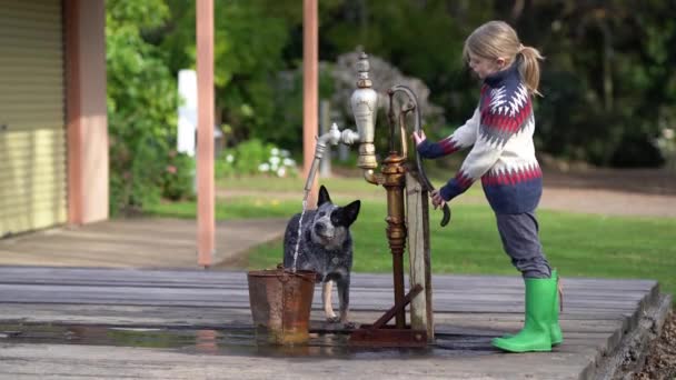 Un niño bombea agua para que un cachorro beba. — Vídeos de Stock