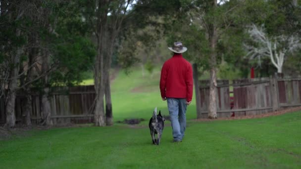 Un hombre entrena a un cachorro de tacón azul para caminar por el talón. — Vídeos de Stock