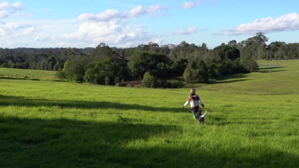 Een jongen en een puppy lopen weg van de camera en spelen op een groene grasweide. — Stockvideo