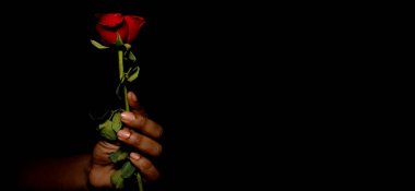 Sevgililer Günü 'nde Kırmızı Gül' ü seçici bir şekilde kırmızı ve siyah arka planda tutarken fotokopi alanı ile izole edilmiş.
