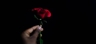 Sevgililer Günü vesilesiyle el ele tutuşan Kırmızı Gül 'ün yakın plan kopyası olan siyah bir arkaplanda seçici bir şekilde izole edilmiş hali.