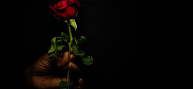 Sevgililer Günü vesilesiyle el ele tutuşan Kırmızı Gül 'ün yakın plan kopyası olan siyah bir arkaplanda seçici bir şekilde izole edilmiş hali.