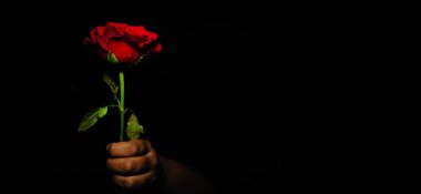 Sevgililer Günü vesilesiyle el ele tutuşan Kırmızı Gül 'ün yakın plan kopyası olan siyah bir arkaplanda seçici bir şekilde izole edilmiş hali.
