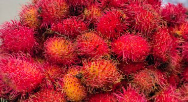 Rambutan, Sapindaceae familyasından bir tropikal ağaçtır. Bu isim aynı zamanda bu ağacın ürettiği yenilebilir meyveyi de ifade eder..