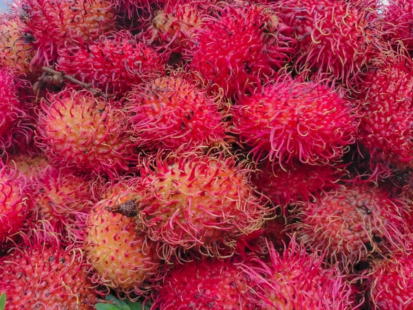 Closeup Fresh Rambutan Fruit Rambutan Medium Sized Tropical Tree Family — Stock Photo, Image