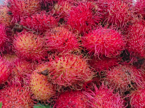 Taze Rambutan meyvesine yakın çekim. Rambutan, Sapindaceae familyasından bir tropikal ağaçtır. Kırmızı tüylü meyve.