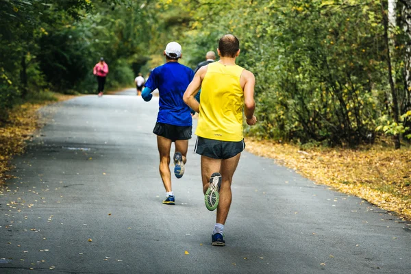 two middle-aged men running in autumn Park