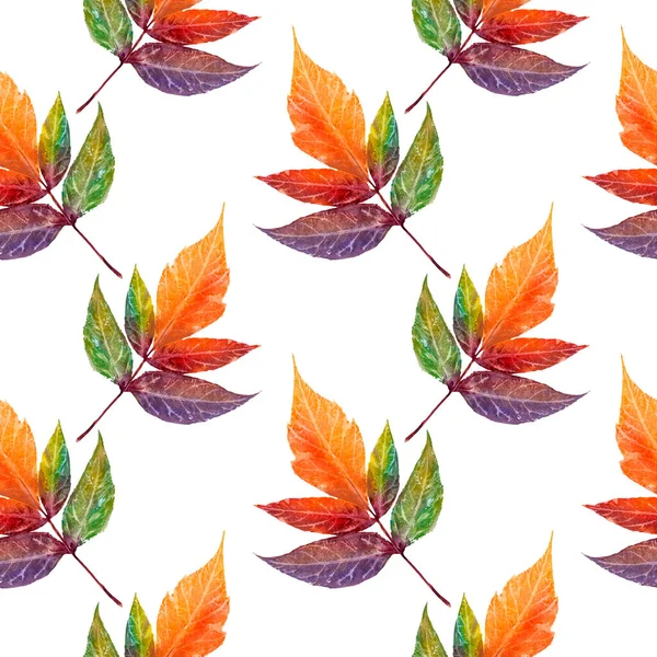 Abstraktní Pozadí Podzimních Listů Podzimní Pozadí Vzorek — Stock fotografie
