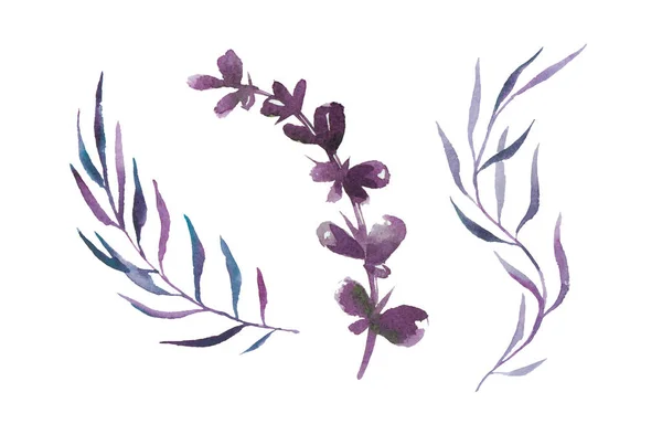 Conjunto Pintura Aquarela Flores Silvestres Azuis Ramos Com Folhas Violetas — Fotografia de Stock