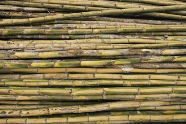 Bambu bölümü inşaat için. 