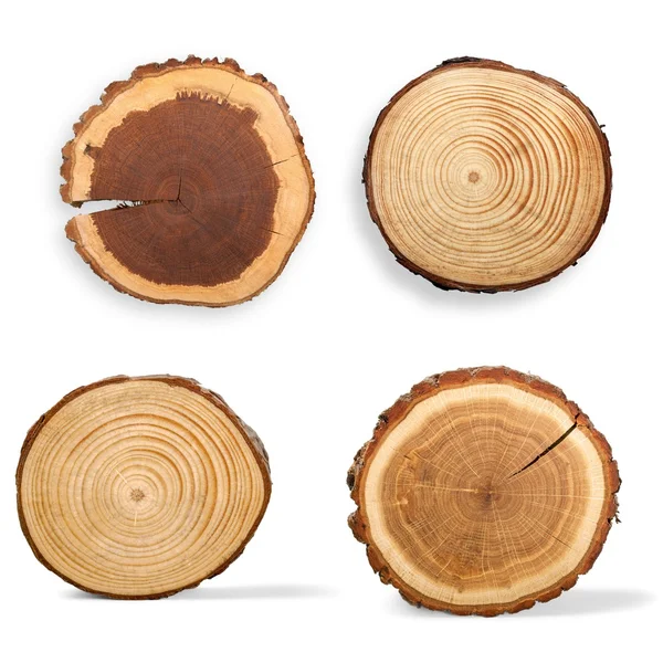 Дерев'яні круглі скибочки — стокове фото