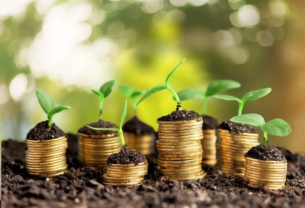 Munten in de bodem met jonge planten — Stockfoto