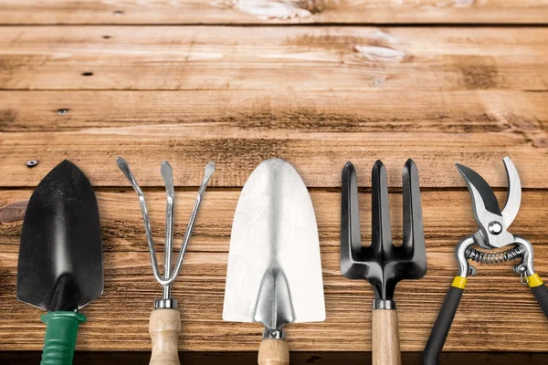 Conjunto de utensílios de manutenção de plantas — Fotografia de Stock