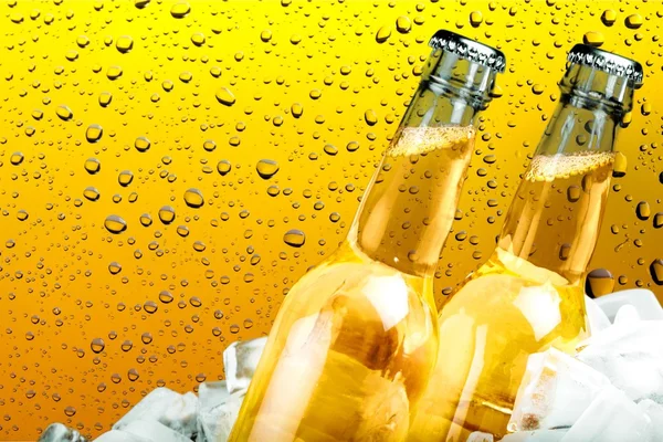 Botellas de cerveza fría —  Fotos de Stock