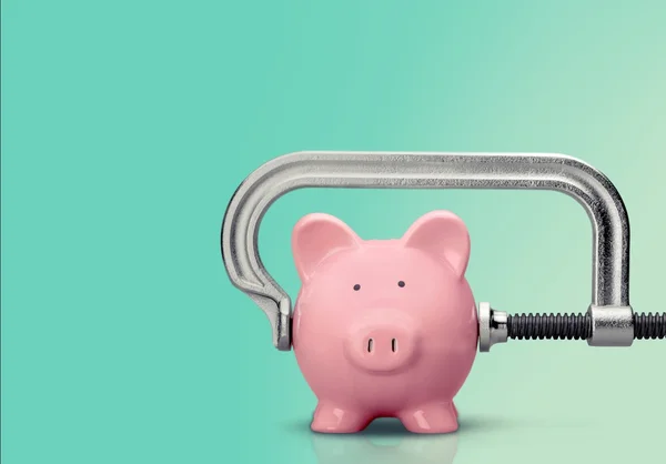 Pink piggy bank and clamp — Stock Photo, Image