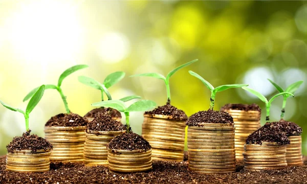 Coins in soil with young plants — Stock Photo, Image