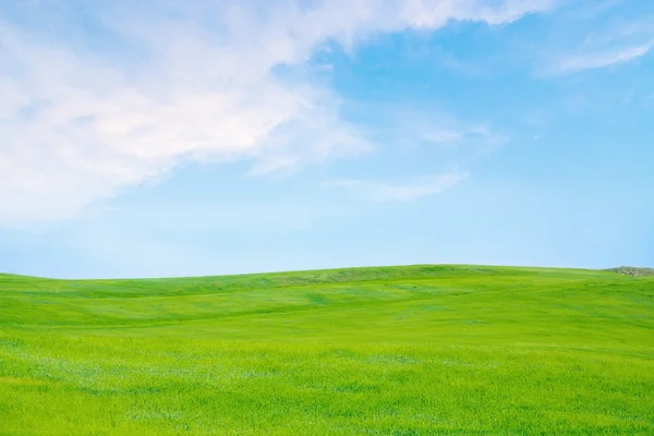 Campo de hierba verde con nubes — Foto de Stock
