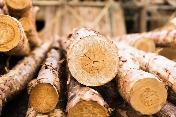 Gros plan de bois de chauffage coupé . — Photo