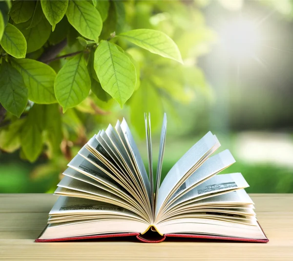 Libro abierto sobre mesa de madera — Foto de Stock