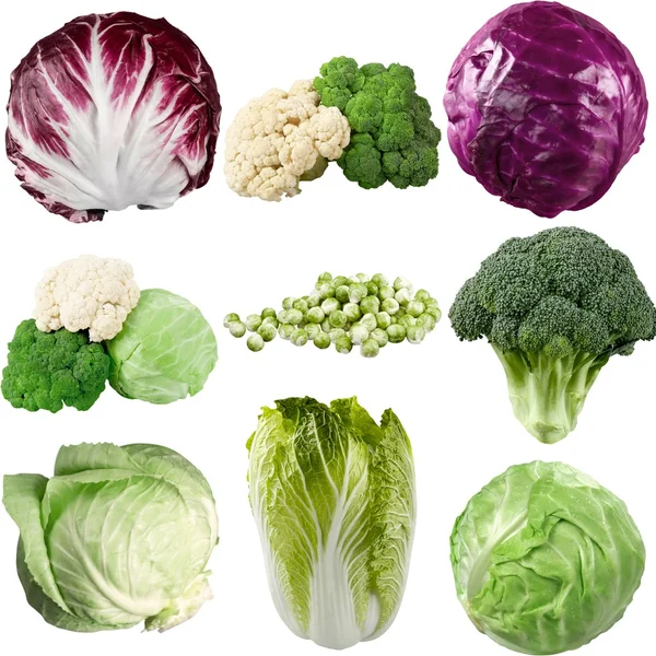 Various types of cabbage — Stock Image Various types of cabbage Stock Picture