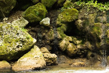 Yeşil yosun kayalar ve su