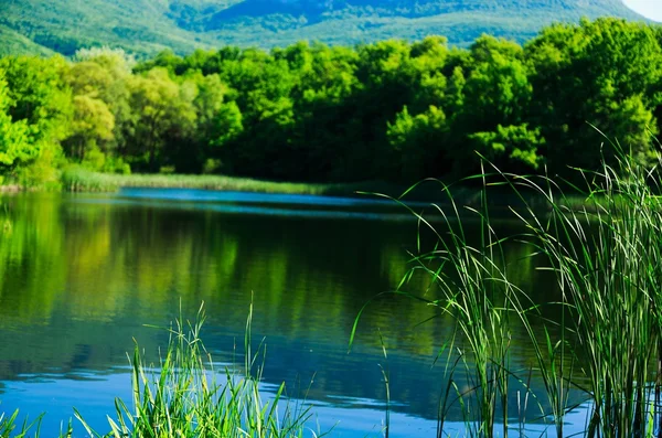 Bellissimo lago di montagna — Foto Stock