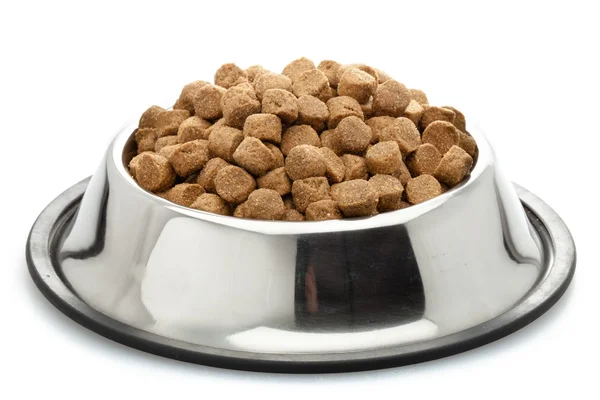 Comida para perros en bowl — Foto de Stock