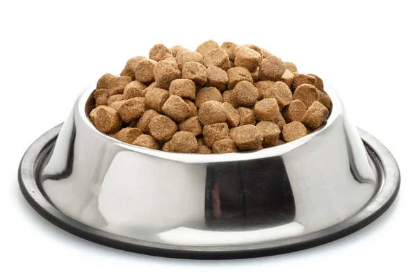 Dog food in bowl — Stock Photo, Image