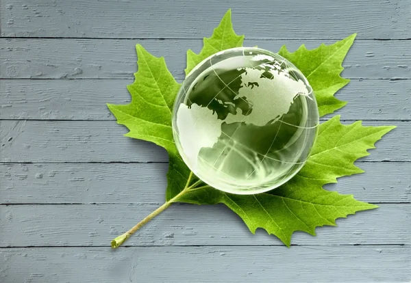 Glass globe and green leaf — Stock Photo, Image