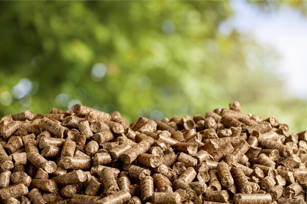 Pellets Biomass- close up