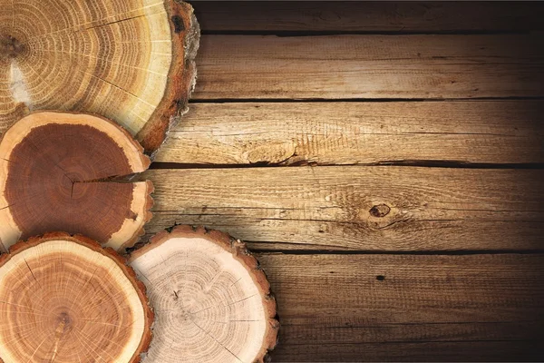 Fatias redondas de madeira — Fotografia de Stock