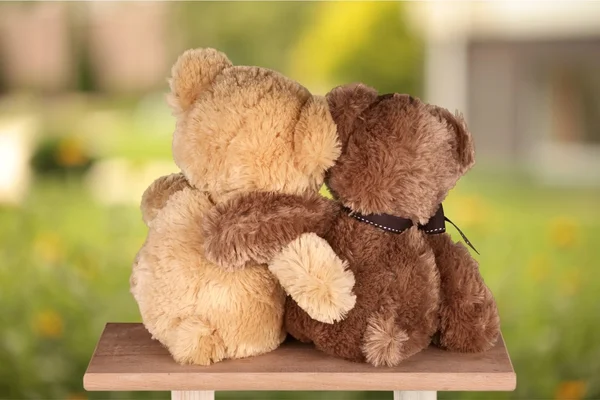 Niedliche Teddybären — Stockfoto