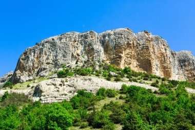 Çim ve gökyüzü tarlası 