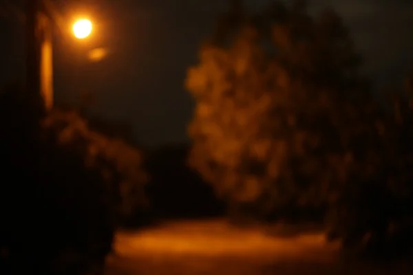 Verschwommene Natur in der Nacht — Stockfoto