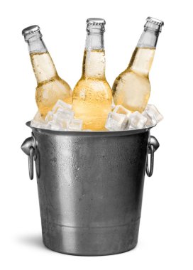 Bira şişeleri kova buz ile