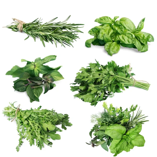 Green fresh herbs — Stock Photo, Image