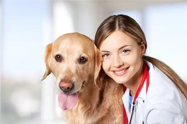 Όμορφη νεαρή κτηνίατρος με σκύλο — Φωτογραφία Αρχείου