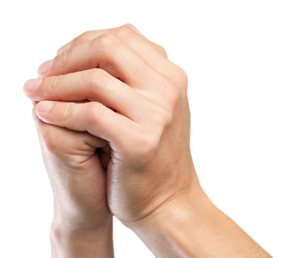 Praying hands isolated — Stock Photo, Image
