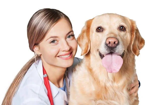 Női orvos-beteg kutya — Stock Fotó