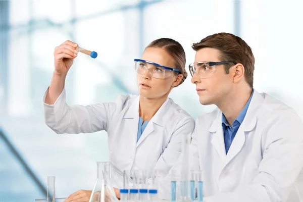 Two scientists conducting research