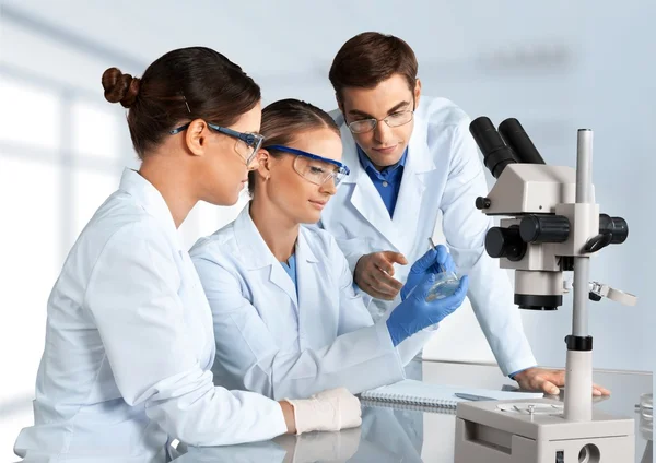Scienziati che lavorano al laboratorio — Foto Stock
