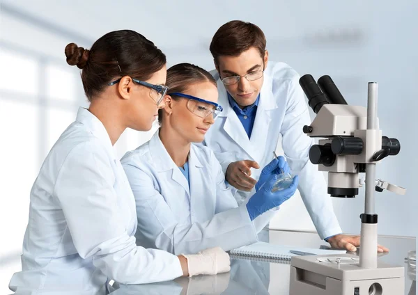 scientists working at the laboratory